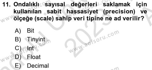 İşletme Bilgi Sistemleri Dersi 2023 - 2024 Yılı (Vize) Ara Sınavı 11. Soru