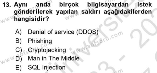 İşletme Bilgi Sistemleri Dersi 2023 - 2024 Yılı Yaz Okulu Sınavı 13. Soru