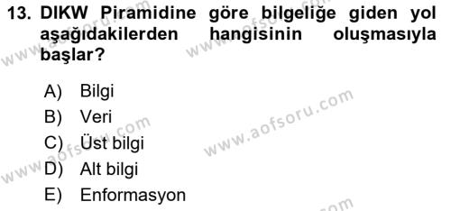 İşletme Bilgi Sistemleri Dersi 2024 - 2025 Yılı (Vize) Ara Sınavı 13. Soru