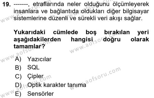 İşletme Bilgi Sistemleri Dersi 2024 - 2025 Yılı (Vize) Ara Sınavı 19. Soru