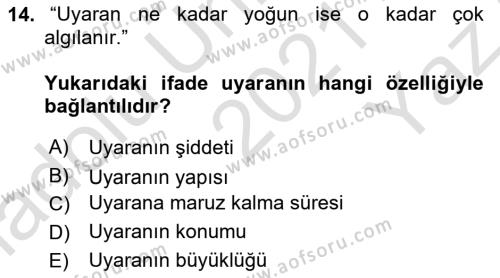 Pazarlamaya Giriş Dersi 2021 - 2022 Yılı Yaz Okulu Sınavı 14. Soru