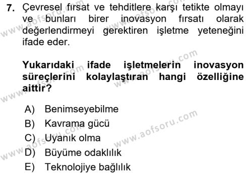 Teknoloji,İnnovasyon Ve Girişimcilik Dersi 2020 - 2021 Yılı Yaz Okulu Sınavı 7. Soru