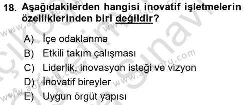 Teknoloji,İnnovasyon Ve Girişimcilik Dersi 2023 - 2024 Yılı (Vize) Ara Sınavı 18. Soru