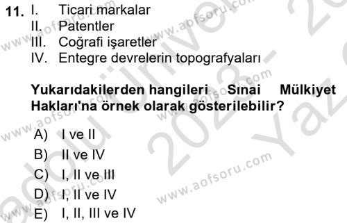 Girişimcilik ve İş Kurma Dersi 2023 - 2024 Yılı Yaz Okulu Sınavı 11. Soru