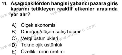 Uluslararası İşletmecilik Dersi 2018 - 2019 Yılı (Vize) Ara Sınavı 11. Soru