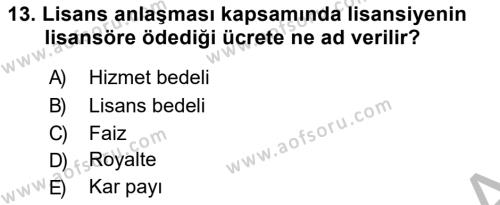 Uluslararası İşletmecilik Dersi 2018 - 2019 Yılı (Vize) Ara Sınavı 13. Soru