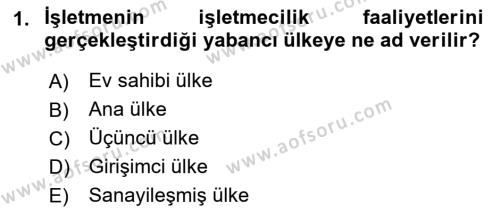 Uluslararası İşletmecilik Dersi 2021 - 2022 Yılı Yaz Okulu Sınavı 1. Soru