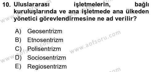 Uluslararası İşletmecilik Dersi 2021 - 2022 Yılı Yaz Okulu Sınavı 10. Soru