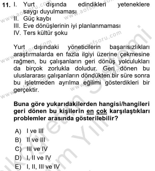 Uluslararası İşletmecilik Dersi 2021 - 2022 Yılı Yaz Okulu Sınavı 11. Soru