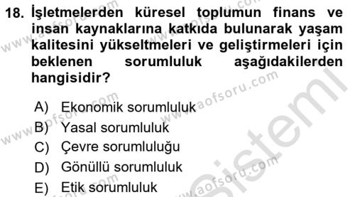 Uluslararası İşletmecilik Dersi 2021 - 2022 Yılı Yaz Okulu Sınavı 18. Soru