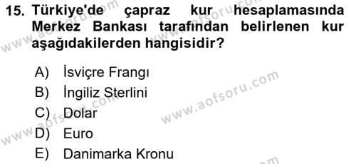 Uluslararası İşletmecilik Dersi 2023 - 2024 Yılı (Final) Dönem Sonu Sınavı 15. Soru