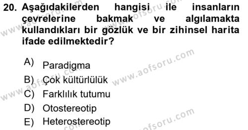 Uluslararası İşletmecilik Dersi 2023 - 2024 Yılı (Final) Dönem Sonu Sınavı 20. Soru