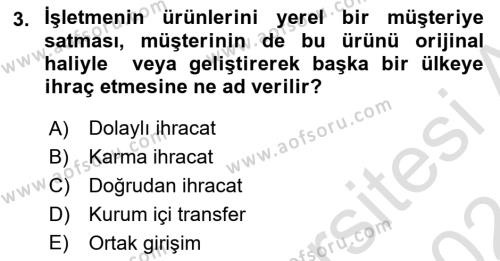 Uluslararası İşletmecilik Dersi 2023 - 2024 Yılı (Final) Dönem Sonu Sınavı 3. Soru