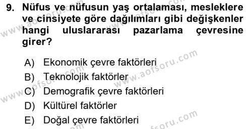 Uluslararası İşletmecilik Dersi 2023 - 2024 Yılı (Final) Dönem Sonu Sınavı 9. Soru