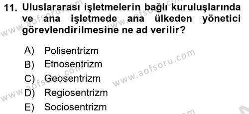 Uluslararası İşletmecilik Dersi 2023 - 2024 Yılı Yaz Okulu Sınavı 11. Soru