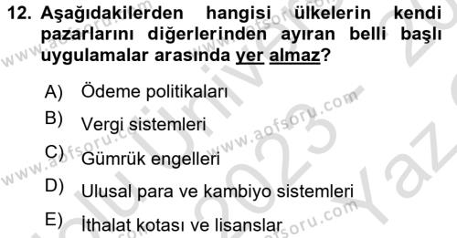 Uluslararası İşletmecilik Dersi 2023 - 2024 Yılı Yaz Okulu Sınavı 12. Soru