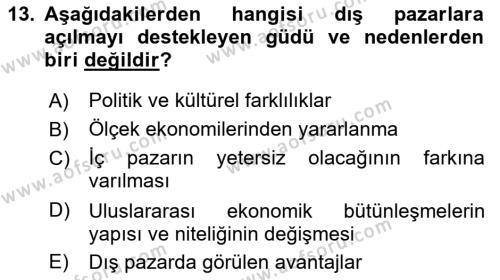 Uluslararası İşletmecilik Dersi 2023 - 2024 Yılı Yaz Okulu Sınavı 13. Soru