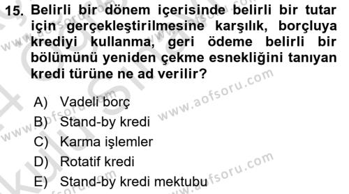 Uluslararası İşletmecilik Dersi 2023 - 2024 Yılı Yaz Okulu Sınavı 15. Soru