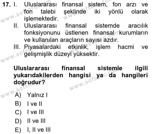 Uluslararası İşletmecilik Dersi 2023 - 2024 Yılı Yaz Okulu Sınavı 17. Soru