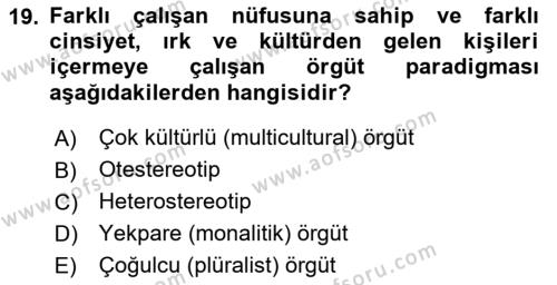 Uluslararası İşletmecilik Dersi 2023 - 2024 Yılı Yaz Okulu Sınavı 19. Soru