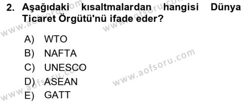 Uluslararası İşletmecilik Dersi 2023 - 2024 Yılı Yaz Okulu Sınavı 2. Soru