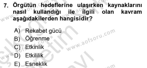 Uluslararası İşletmecilik Dersi 2023 - 2024 Yılı Yaz Okulu Sınavı 7. Soru