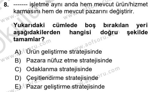 Uluslararası İşletmecilik Dersi 2023 - 2024 Yılı Yaz Okulu Sınavı 8. Soru