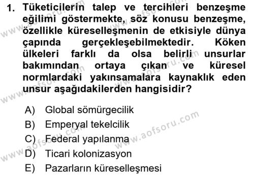 Uluslararası İşletmecilik Dersi 2024 - 2025 Yılı (Vize) Ara Sınavı 1. Soru