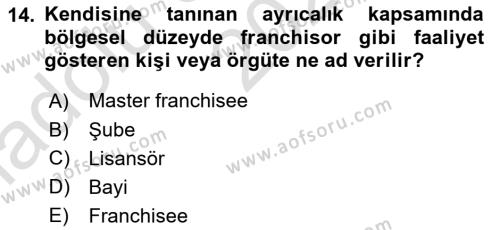 Uluslararası İşletmecilik Dersi 2024 - 2025 Yılı (Vize) Ara Sınavı 14. Soru