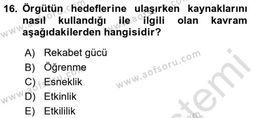 Uluslararası İşletmecilik Dersi 2024 - 2025 Yılı (Vize) Ara Sınavı 16. Soru