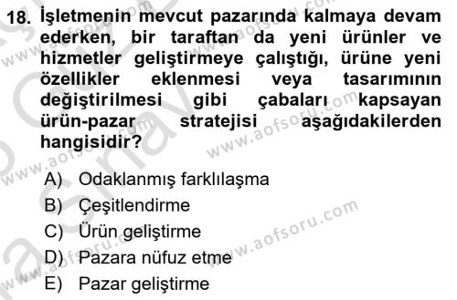 Uluslararası İşletmecilik Dersi 2024 - 2025 Yılı (Vize) Ara Sınavı 18. Soru