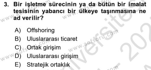 Uluslararası İşletmecilik Dersi 2024 - 2025 Yılı (Vize) Ara Sınavı 3. Soru