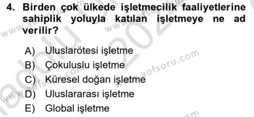 Uluslararası İşletmecilik Dersi 2024 - 2025 Yılı (Vize) Ara Sınavı 4. Soru