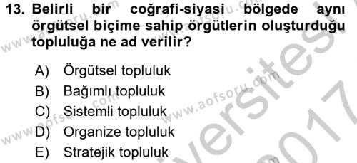 Örgüt Kuramı Dersi 2016 - 2017 Yılı (Vize) Ara Sınavı 13. Soru