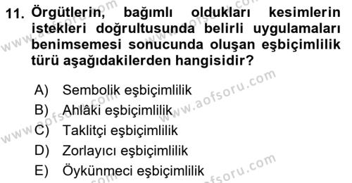 Örgüt Kuramı Dersi 2022 - 2023 Yılı Yaz Okulu Sınavı 11. Soru