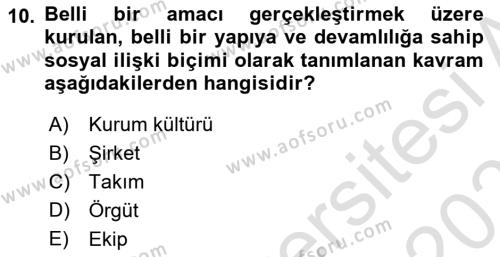 Örgüt Kuramı Dersi 2023 - 2024 Yılı (Vize) Ara Sınavı 10. Soru