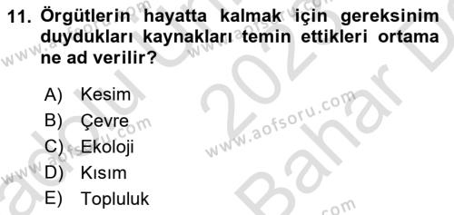 Örgüt Kuramı Dersi 2023 - 2024 Yılı (Vize) Ara Sınavı 11. Soru