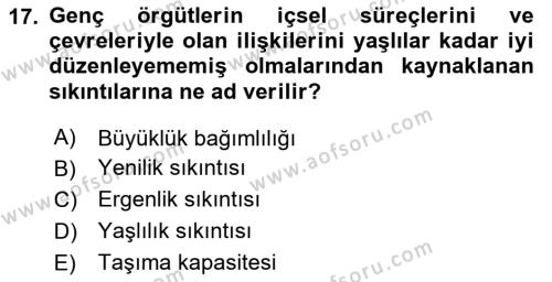 Örgüt Kuramı Dersi 2023 - 2024 Yılı (Vize) Ara Sınavı 17. Soru