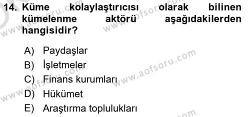 Yönetimde Güncel Yaklaşımlar Dersi 2021 - 2022 Yılı Yaz Okulu Sınavı 14. Soru