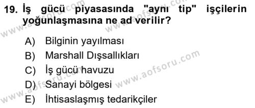 Yönetimde Güncel Yaklaşımlar Dersi 2022 - 2023 Yılı Yaz Okulu Sınavı 19. Soru