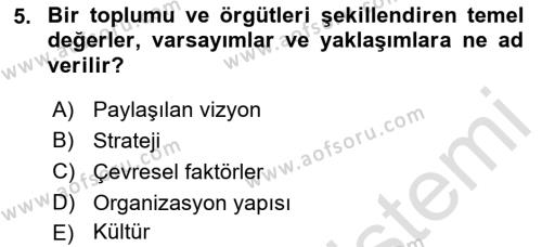 Yönetimde Güncel Yaklaşımlar Dersi 2022 - 2023 Yılı Yaz Okulu Sınavı 5. Soru