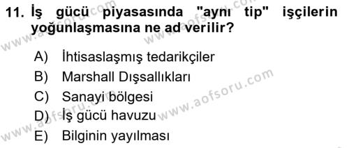 Yönetimde Güncel Yaklaşımlar Dersi 2023 - 2024 Yılı (Final) Dönem Sonu Sınavı 11. Soru