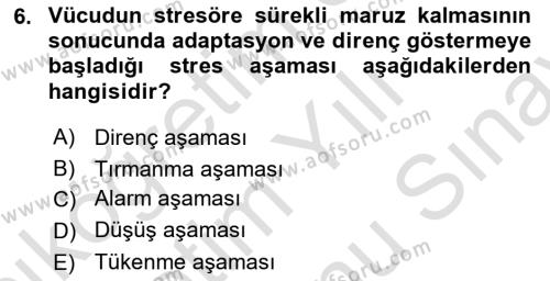 Yönetimde Güncel Yaklaşımlar Dersi 2023 - 2024 Yılı (Final) Dönem Sonu Sınavı 6. Soru