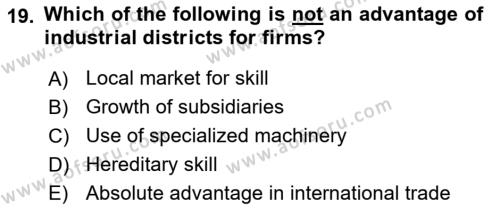 Foreign Trade Dersi 2019 - 2020 Yılı (Vize) Ara Sınavı 19. Soru