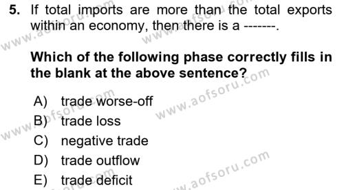 Foreign Trade Dersi 2019 - 2020 Yılı (Vize) Ara Sınavı 5. Soru