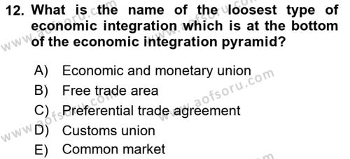 Foreign Trade Dersi 2019 - 2020 Yılı (Final) Dönem Sonu Sınavı 12. Soru