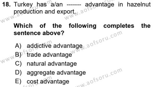 Foreign Trade Dersi 2021 - 2022 Yılı (Vize) Ara Sınavı 18. Soru