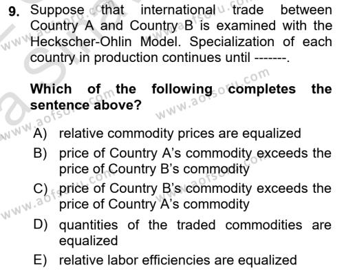 Foreign Trade Dersi 2021 - 2022 Yılı (Vize) Ara Sınavı 9. Soru