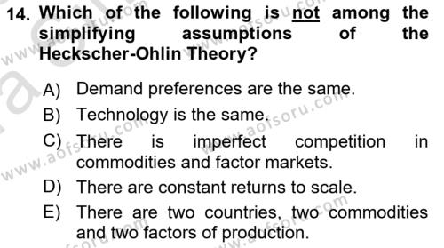 Foreign Trade Dersi 2022 - 2023 Yılı (Vize) Ara Sınavı 14. Soru