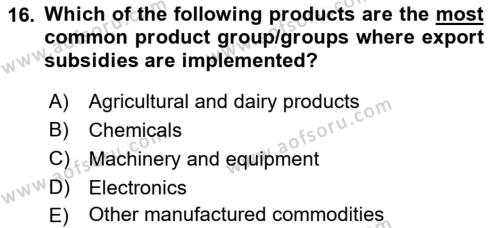 Foreign Trade Dersi 2022 - 2023 Yılı (Final) Dönem Sonu Sınavı 16. Soru